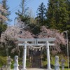 宇佐八幡神社、仙台市。