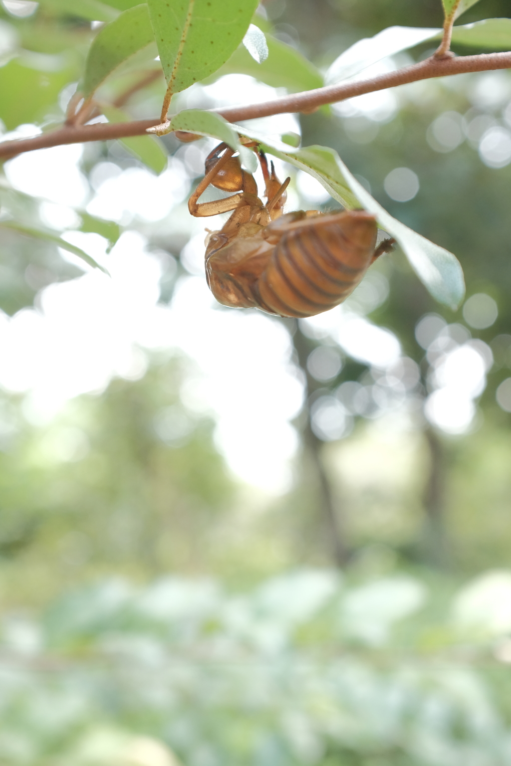 夏の終わり、秋の始まり。