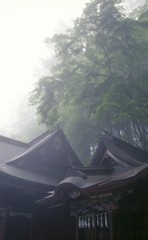 静寂と霧の朝。