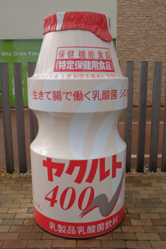 ヤクルト400