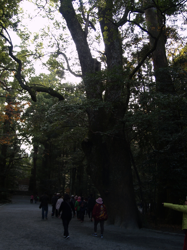 伊勢神宮12月③