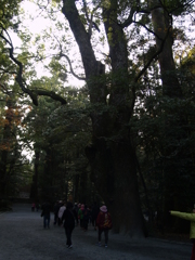 伊勢神宮12月③