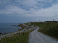 古いデジイチの風景写真