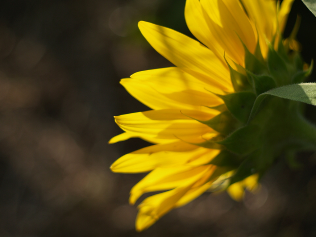 8月を振り返ると③