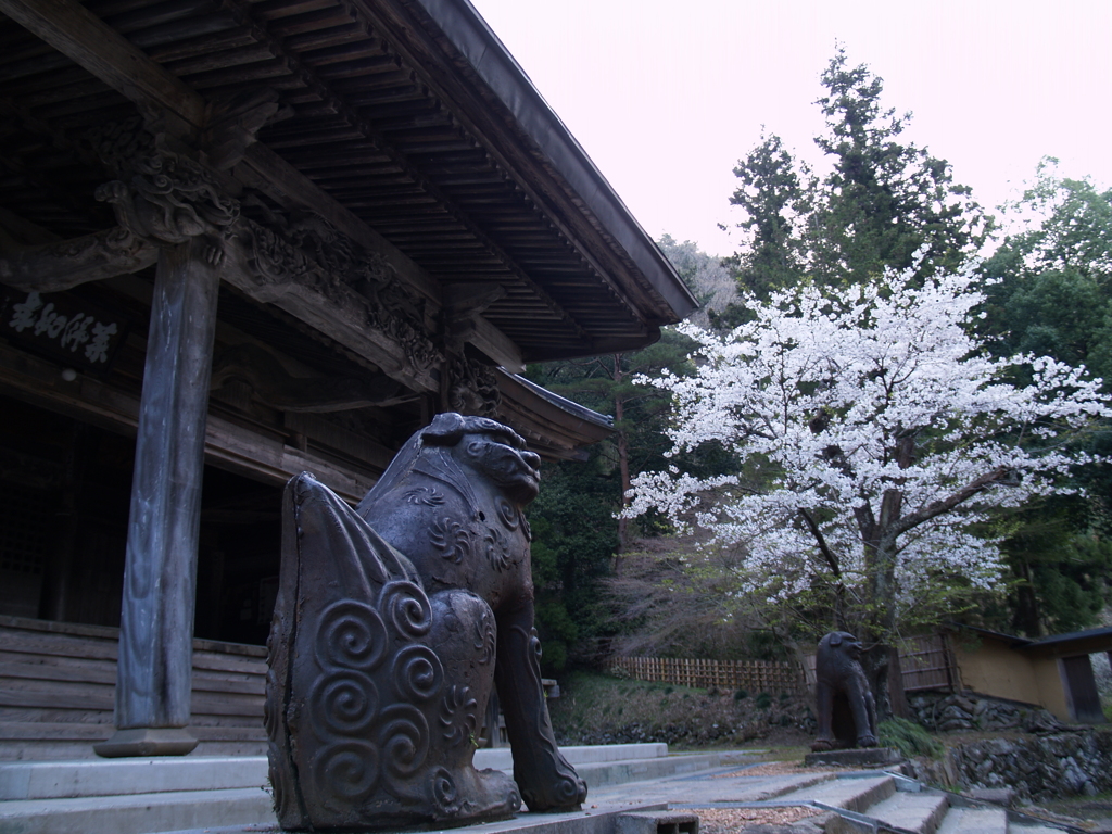 寺巡り⑮