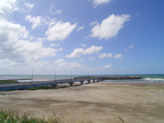 秋めく日々日本海①