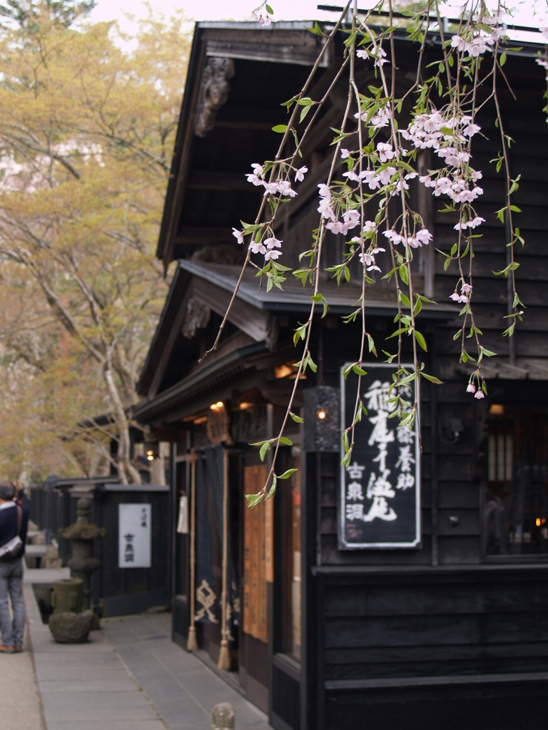 桜のまち角館⑩