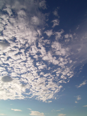 CCDの備忘録GX①