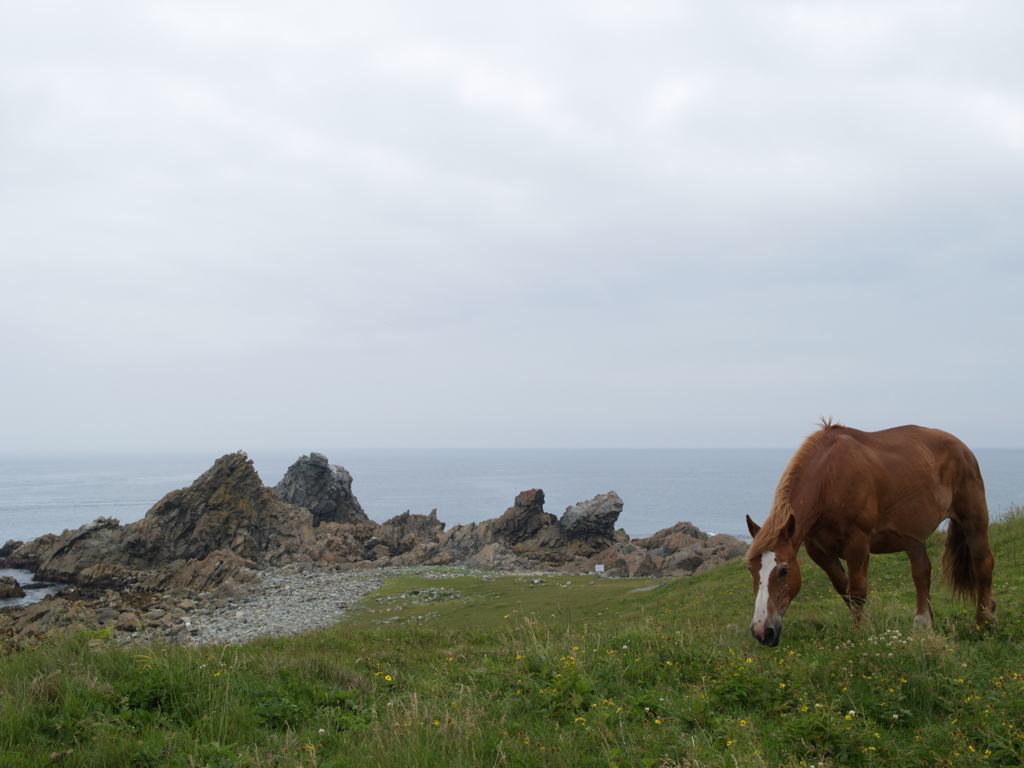 下北半島