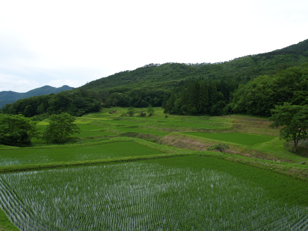空間は立体