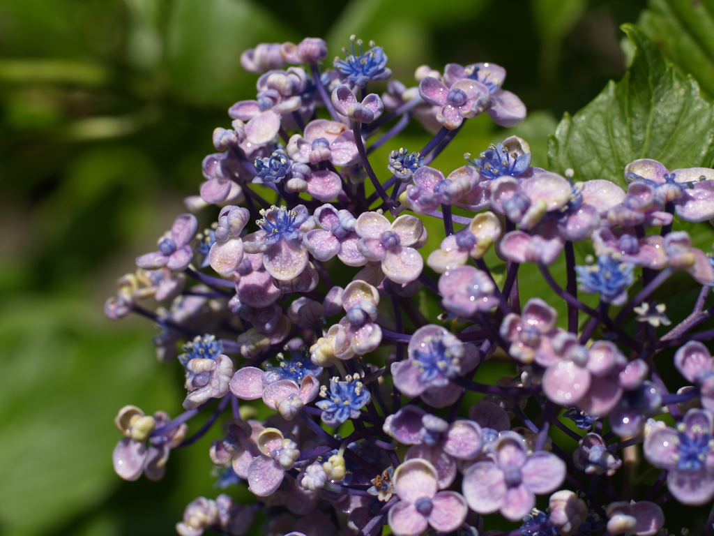 立体感のサンプル