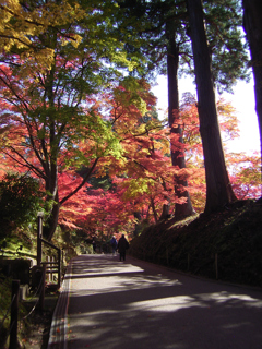 紅葉狩り_中尊寺④