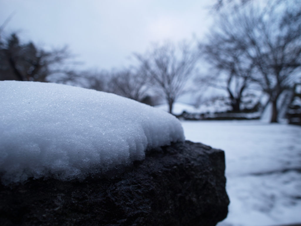 公園の雪