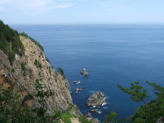 古いコンデジを行楽に③