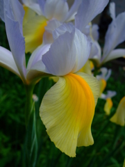 コンデジ画素6M④