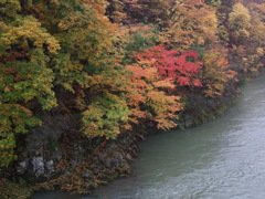 コンデジの秋②