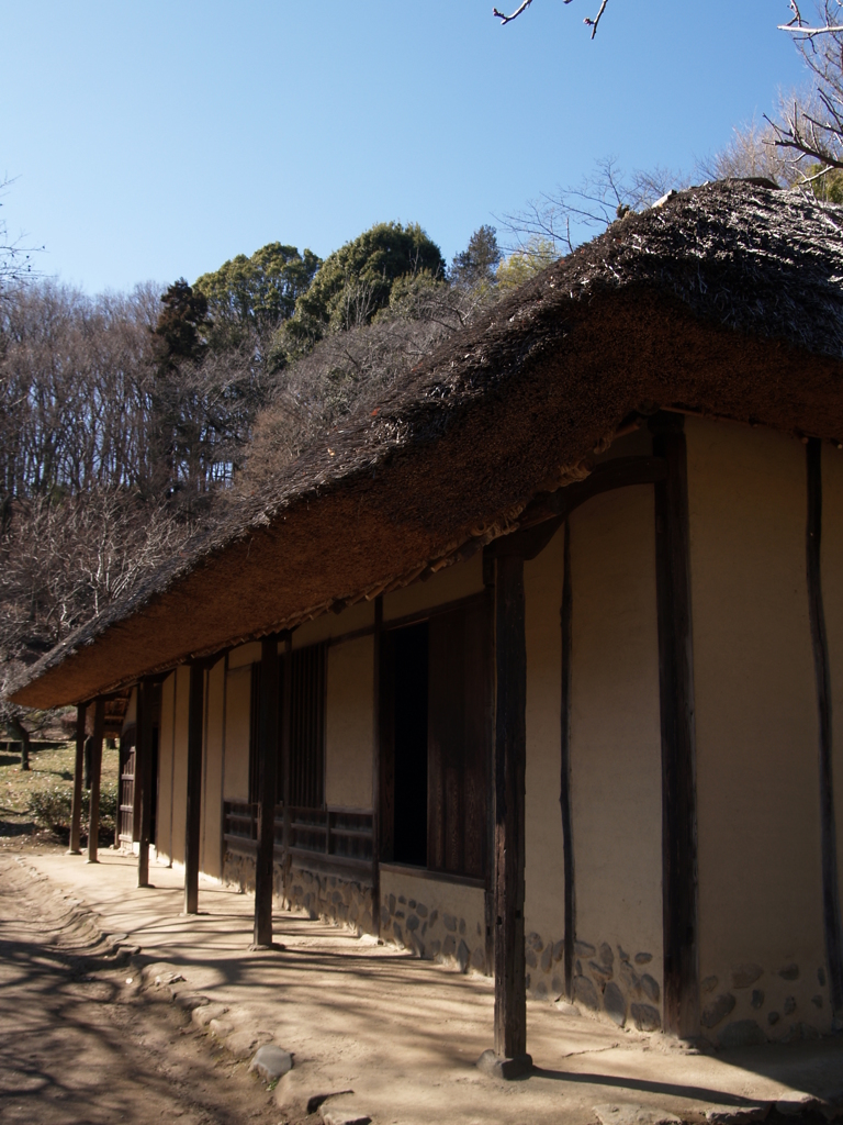 立春の日差し④