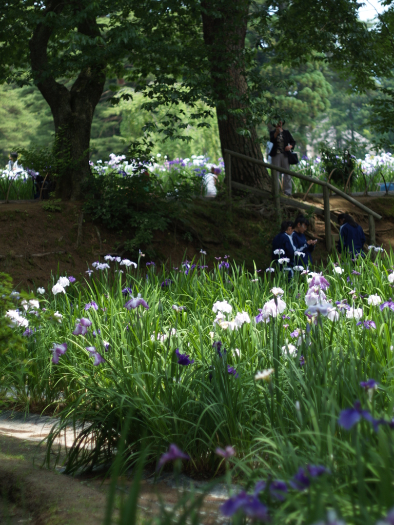 7月を振り返ると④