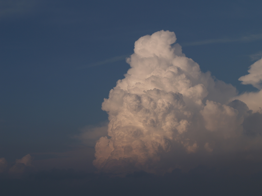 8月を振り返ると⑤