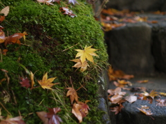 material③