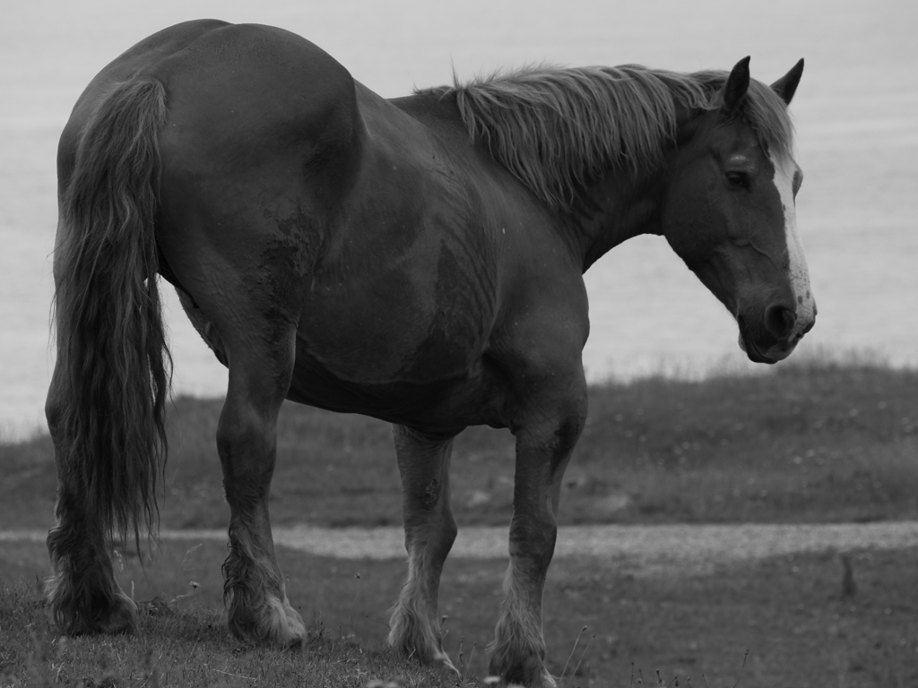 これも2017年の記録