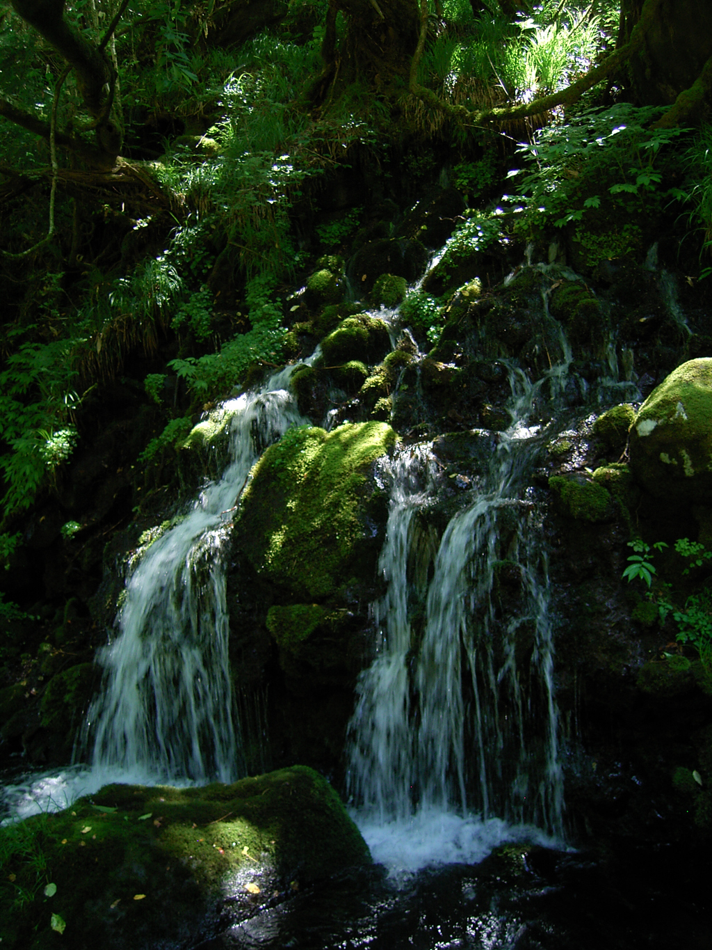 鳥海山麓_元滝伏流水②
