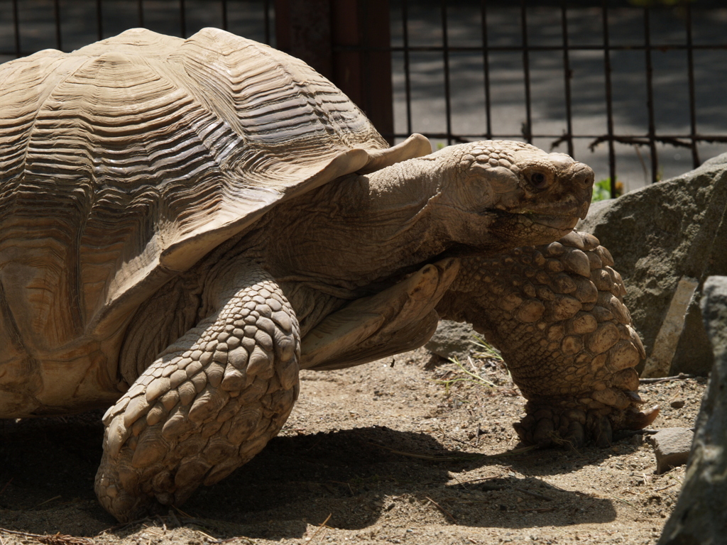 GWは動物園