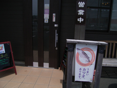 うまいカツオあります