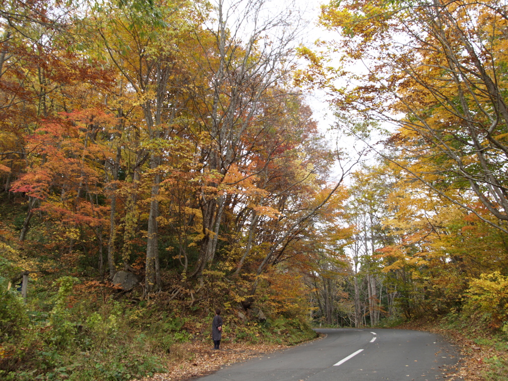 自然という空間の事実②