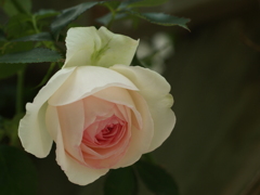 CCDの備忘録E-1⑲