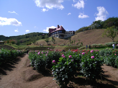 CCDの備忘録GX⑪