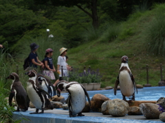 二次元じゃない現実