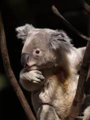 動物園の振り返り①