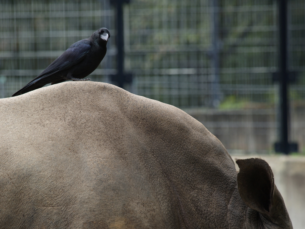動物公園⑯