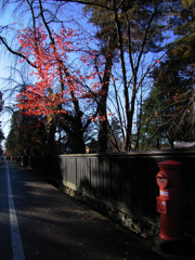 CCDの備忘録GX⑤