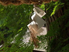 白・光に偽り（濁り）なし