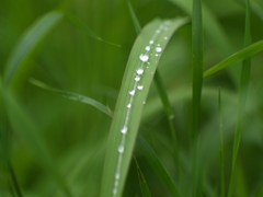 雨上がりの立体感②