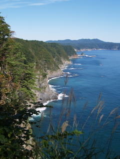 鵜の巣断崖①