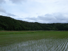 画素数とシャープネス13M②