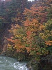 コンデジの秋③