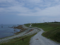 古いコンデジの風景写真