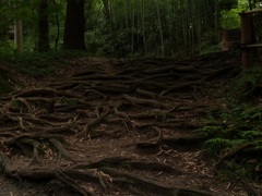 中尊寺③