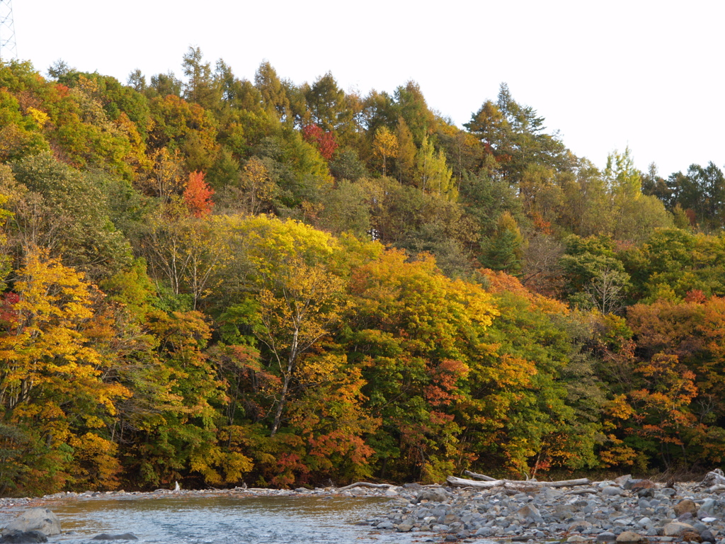 岩手　松川渓谷③