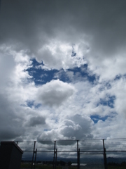 自然は作れない①