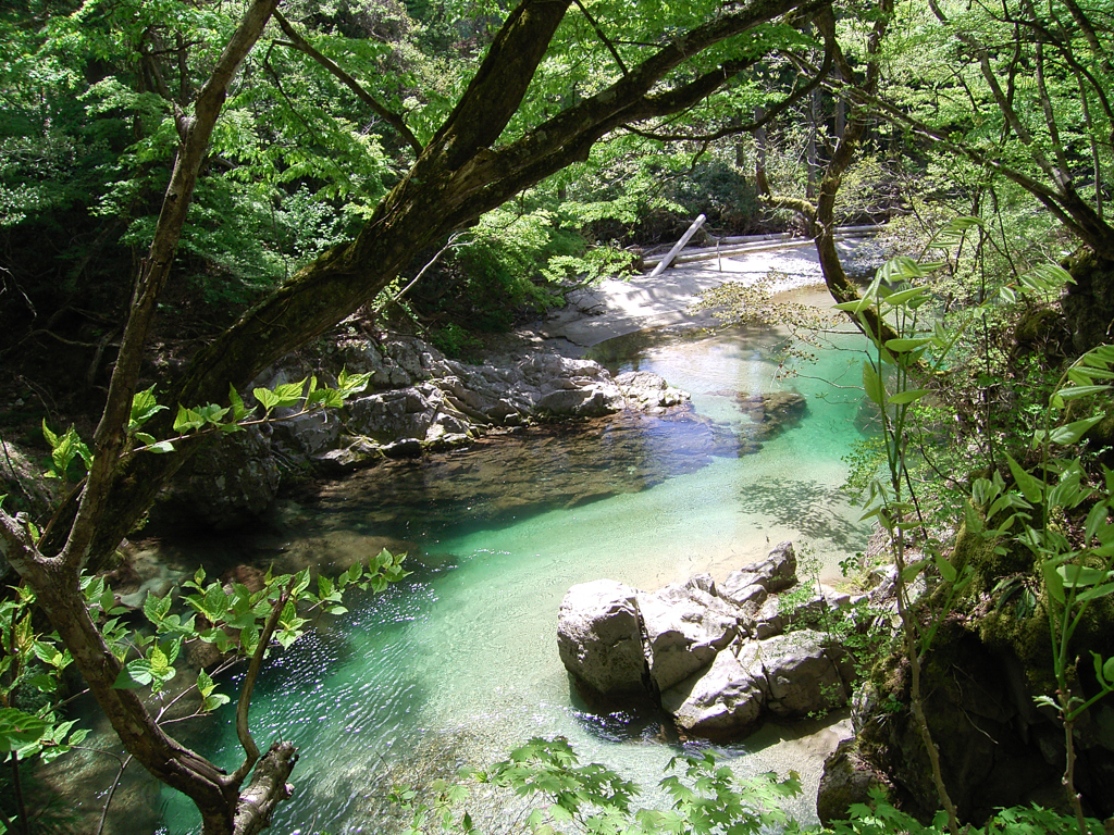 コンデジ的５月陽気①