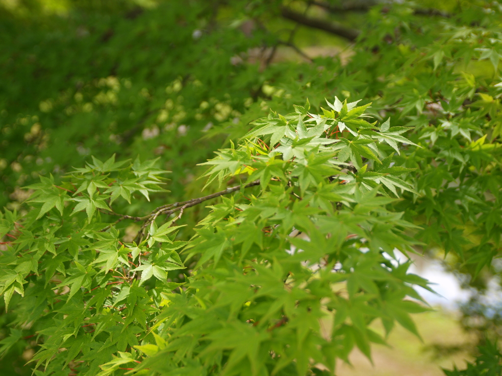 平凡な日常を楽しむ