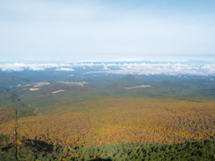 今日の八甲田②