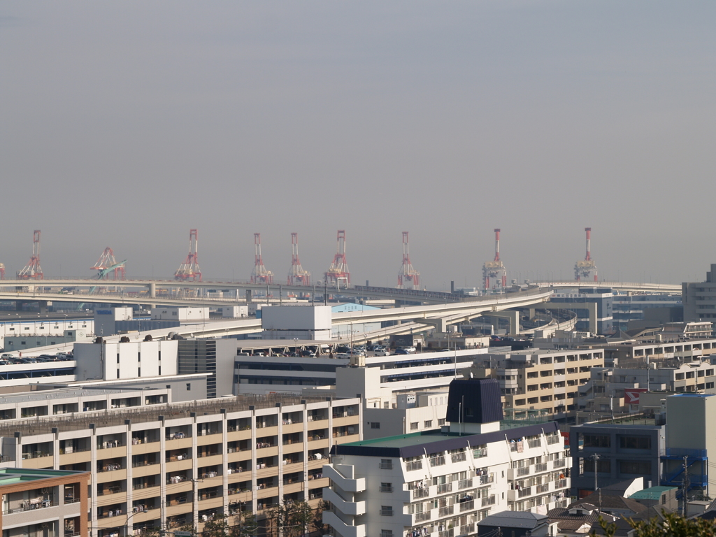 港の見える丘公園④