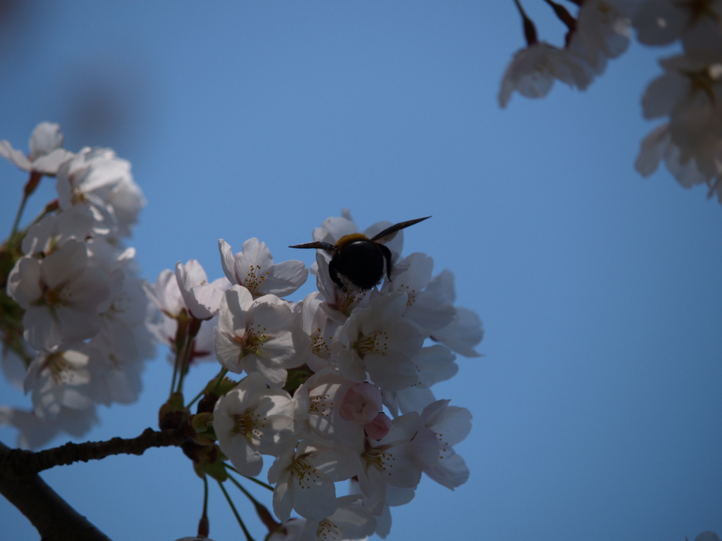 岩手県　遠野③