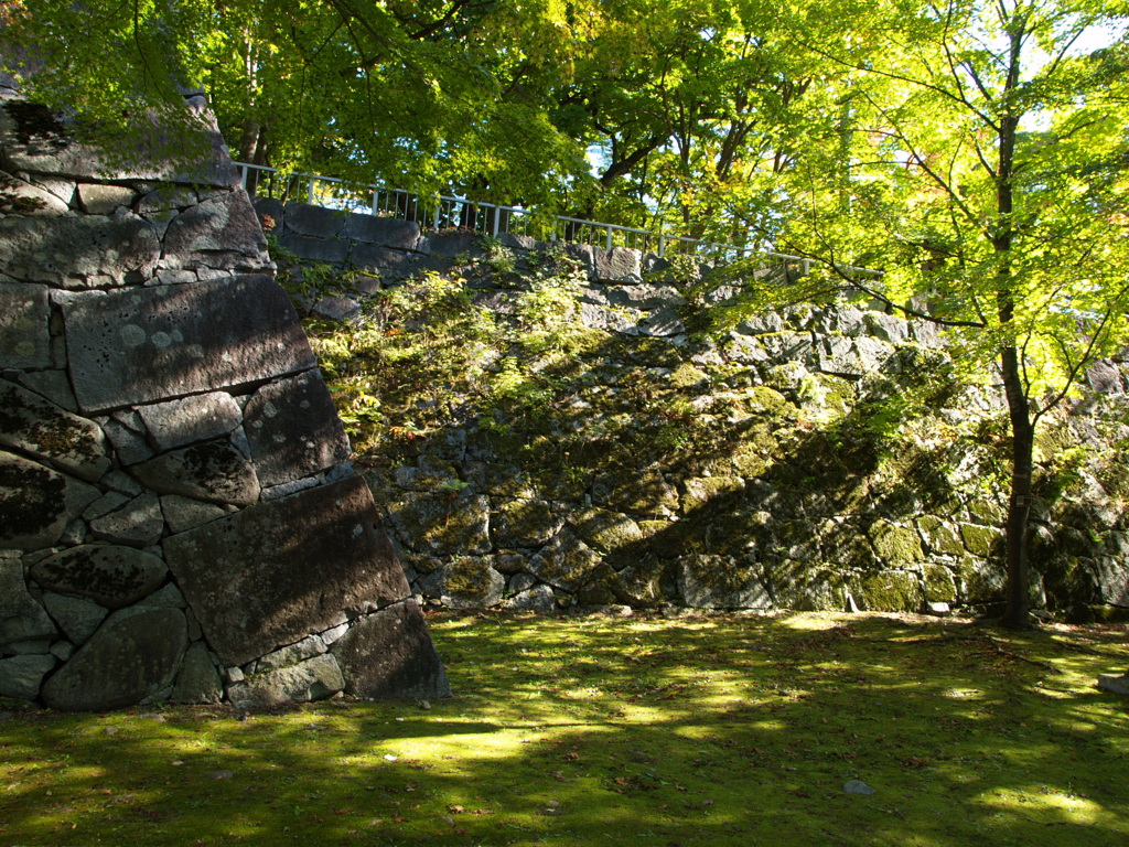 陽を感じるから③